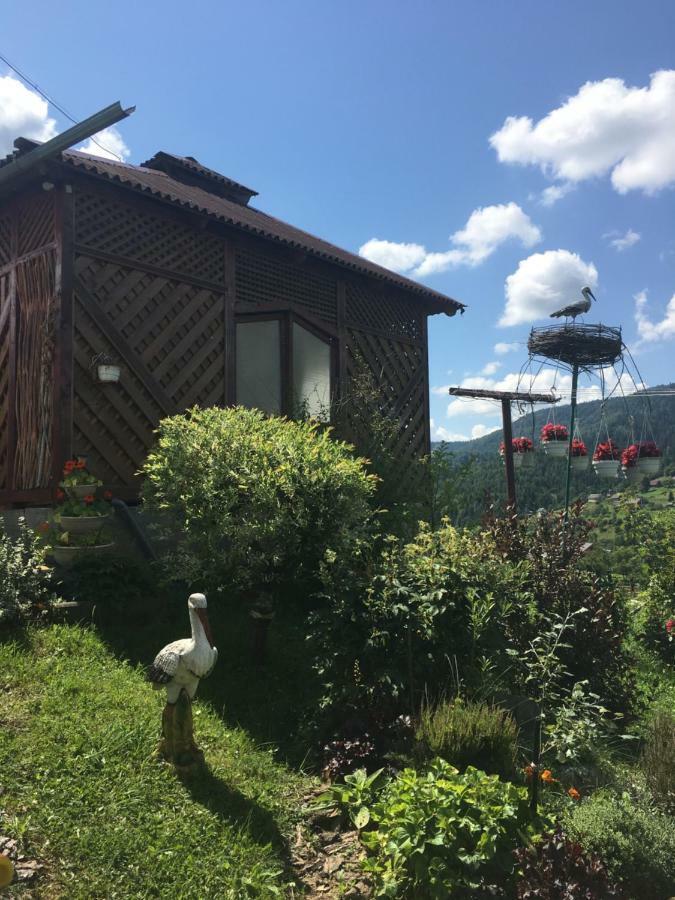 Hotel Відпочинок У Пронів à Slavsko Extérieur photo